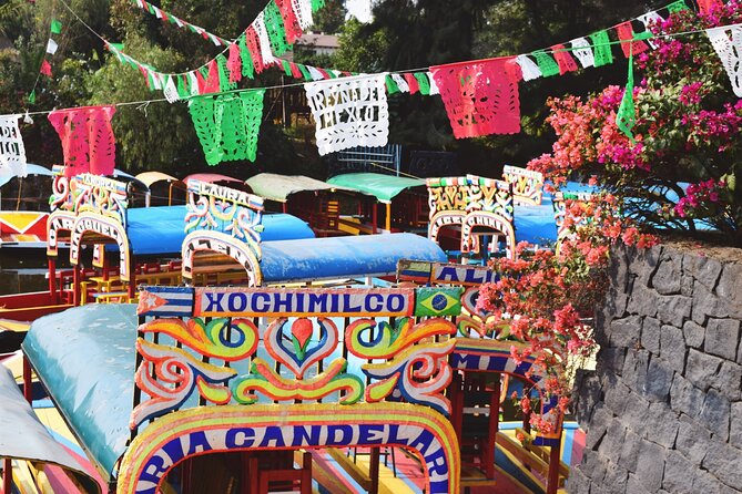 From cdmx: Tour in Coyoacan and Xochimilco all inclusive - Who will get the most from this tour