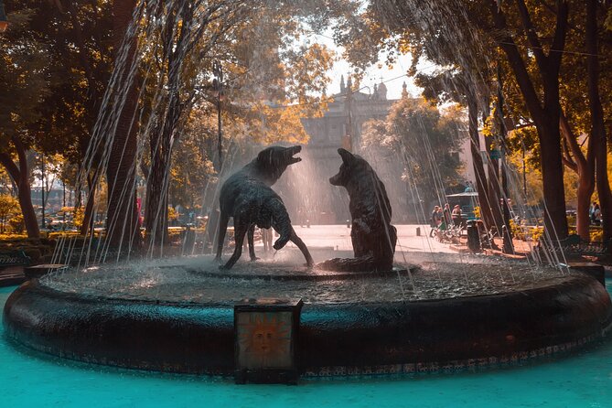 From cdmx: Tour in Coyoacan and Xochimilco all inclusive - Meeting outside Starbucks on Reforma