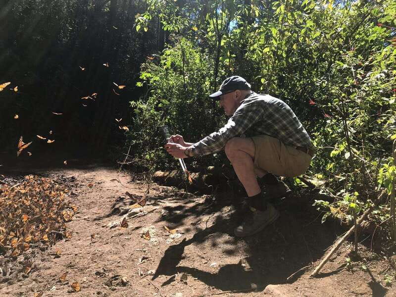 From Mexico City: 7-Day Monarch Butterfly Tour - Day 1: A gentle start in Mexico City