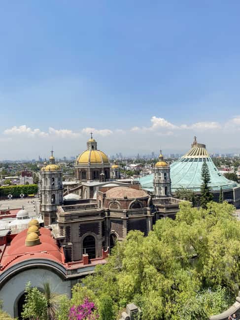 From Mexico City: Tour of Teotihuacan and Basilica of Guadalupe - Who should book this tour
