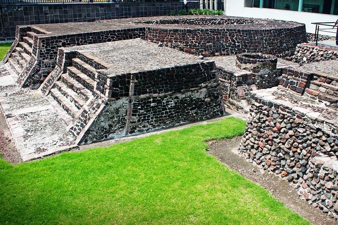 Full-Day Teotihuacan & Basilica Guadalupe Tour - The guide matters more than the minivan
