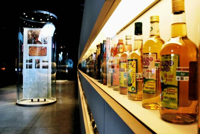 Guided Tour to the Tequila and Mezcal Museum - What the Tequila and Mezcal Museum actually offers