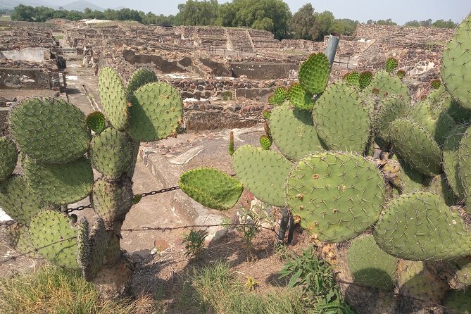 Guided Walking Tour to the Archaeological Zone of Teotihuacán - Finishing at the Moon Pyramid