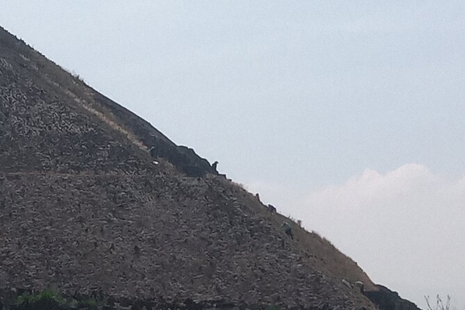 Guided Walking Tour to the Archaeological Zone of Teotihuacán - Walking the Avenue of the Dead