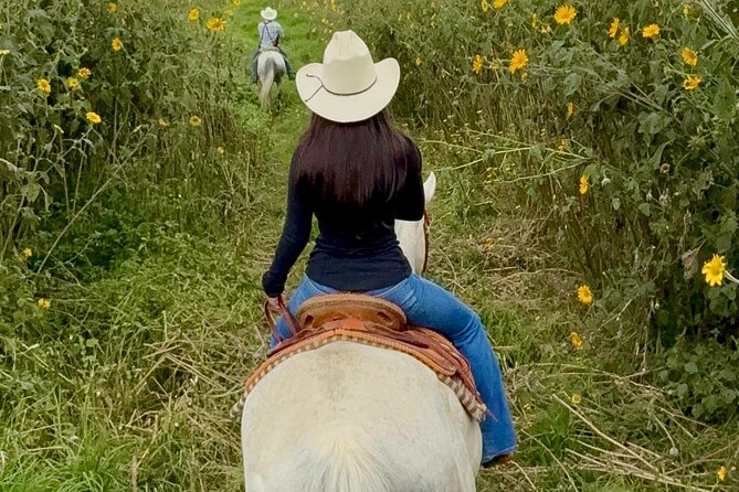 Horseback, Culture & Mexican Flavors Experience - Key points before you book