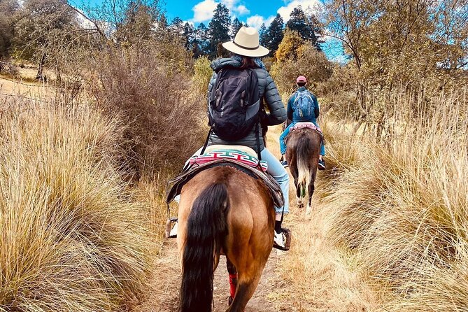 Horseback, Culture & Mexican Flavors Experience - Leaving Roma Norte for Tepetlaoxtoc