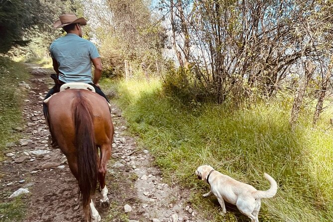 Horseback, Culture & Mexican Flavors Experience - Mexican barbecue at the family ranch