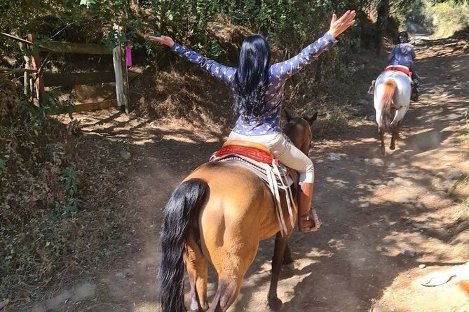 Horseback, Culture & Mexican Flavors Experience - A lesson about horses after the ride