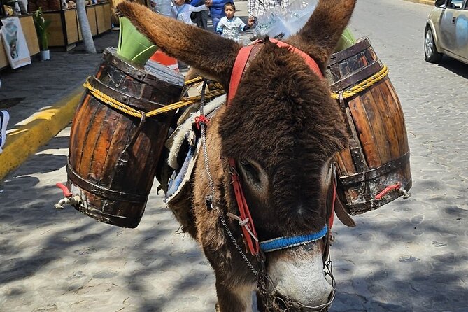 Horseback, Culture & Mexican Flavors Experience - Traditional snacks before the saddle