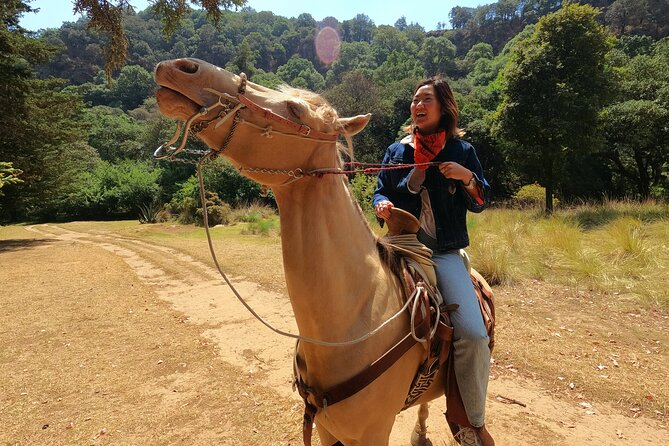 Horseback Riding in the Forest and Breakfast in Cabin - Leaving Roma Norte for Los Dinamos