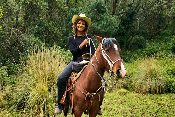 Horseback Riding in the Forest and Breakfast in Cabin - A gentle start for first-time riders