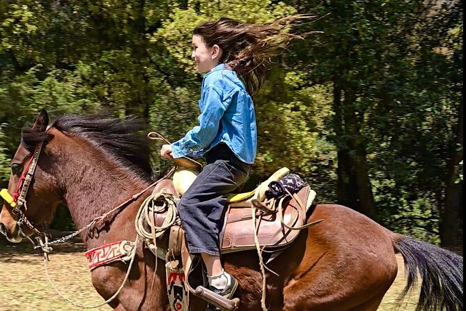 Horseback Riding in the Forest and Breakfast in Cabin - What the $161.20 price covers