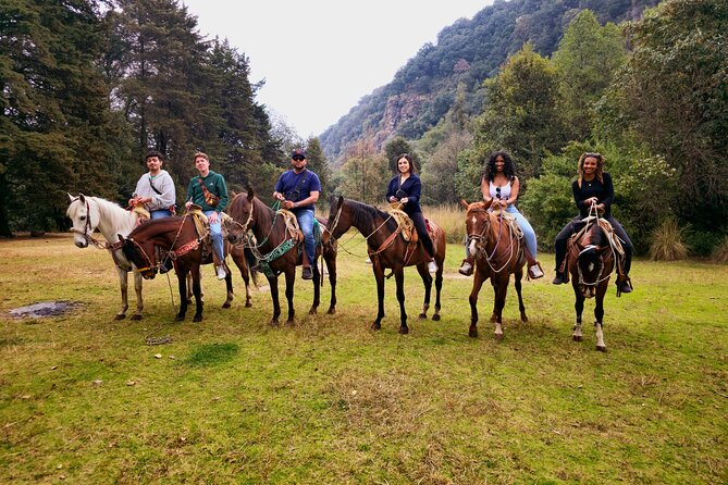 Horseback Riding in the Forest and Breakfast in Cabin - Is this Los Dinamos ride worth booking?