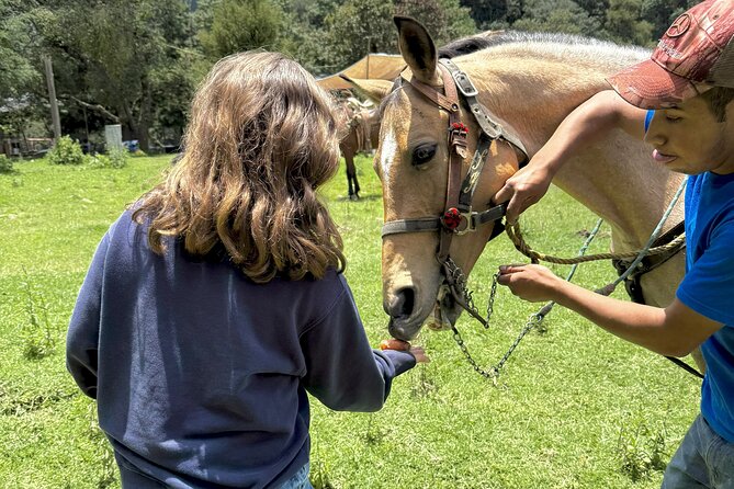 Horseback Riding in the Forest and Breakfast in Cabin - FAQ