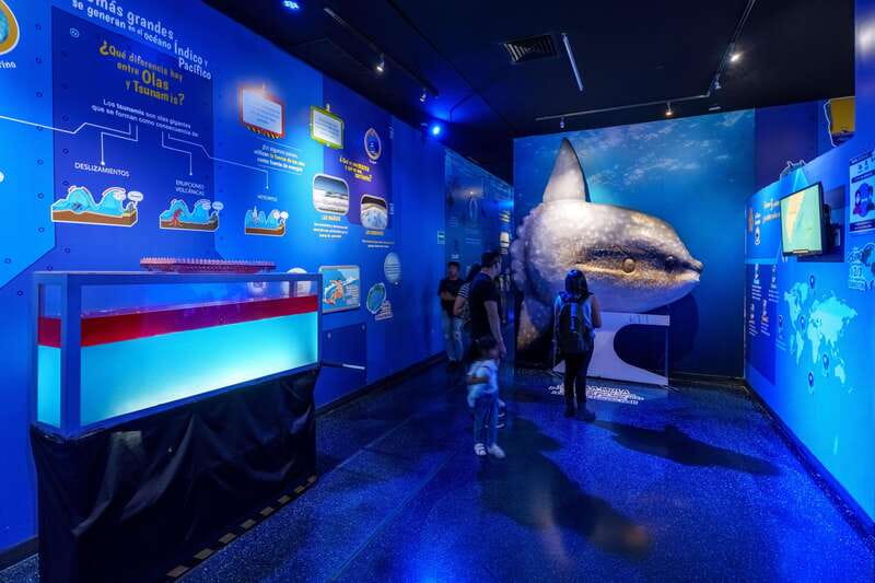 Inbursa Aquarium Entry Ticket with VR Option - What the $20 Acuario Inbursa ticket gives you