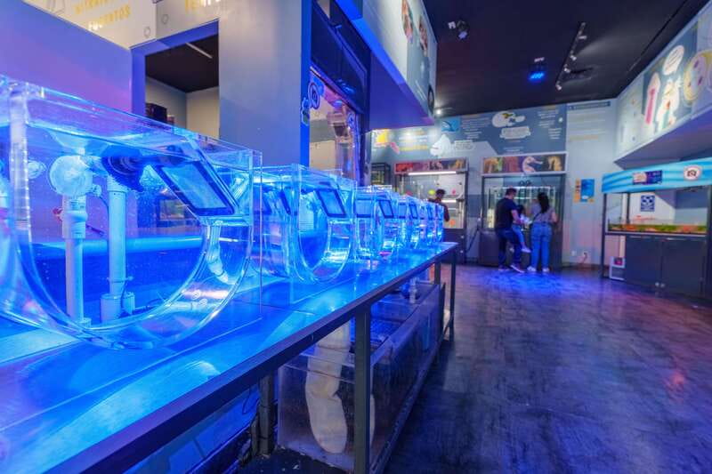 Inbursa Aquarium Entry Ticket with VR Option - Who will enjoy this aquarium most?