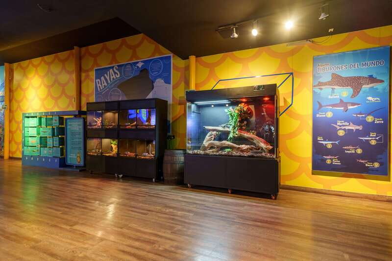 Inbursa Aquarium Entry Ticket with VR Option - Entering through the priority door