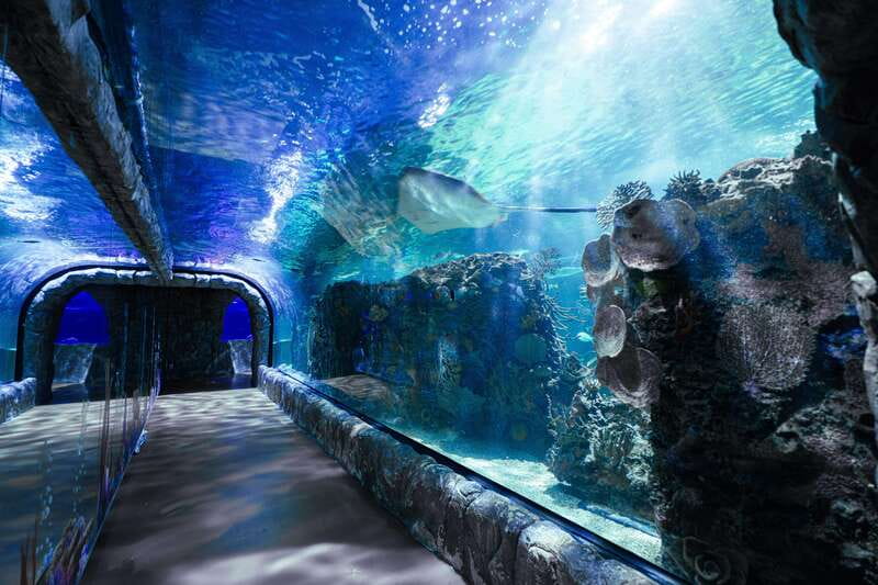 Inbursa Aquarium Entry Ticket with VR Option - The Interactive Aquarium and its hands-on approach