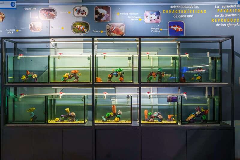 Inbursa Aquarium Entry Ticket with VR Option - Temporary exhibitions add variety