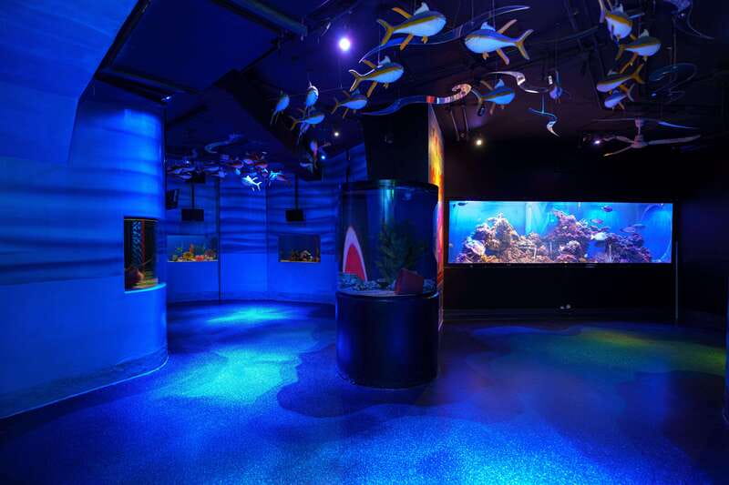 Inbursa Aquarium Entry Ticket with VR Option - Adding the virtual reality option
