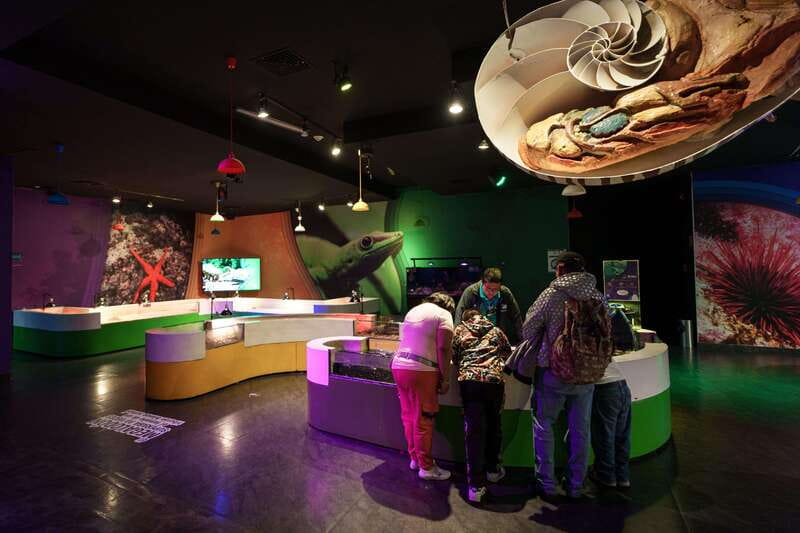 Inbursa Aquarium Entry Ticket with VR Option - How much time should you allow?