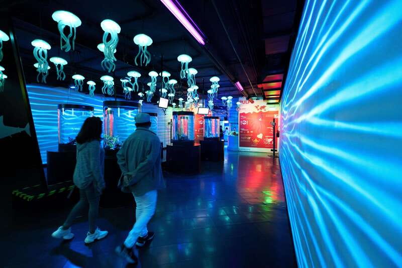 Inbursa Aquarium Entry Ticket with VR Option - Practical rules before you enter