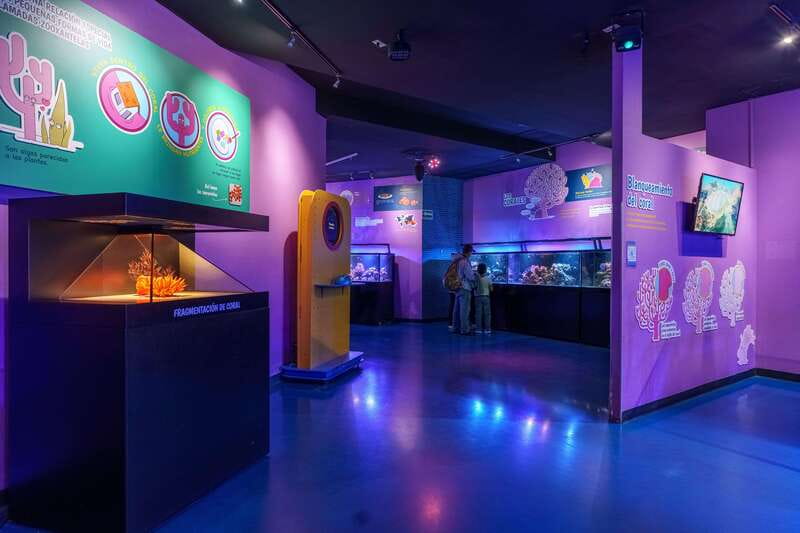Inbursa Aquarium Entry Ticket with VR Option - Is priority access worth paying for?