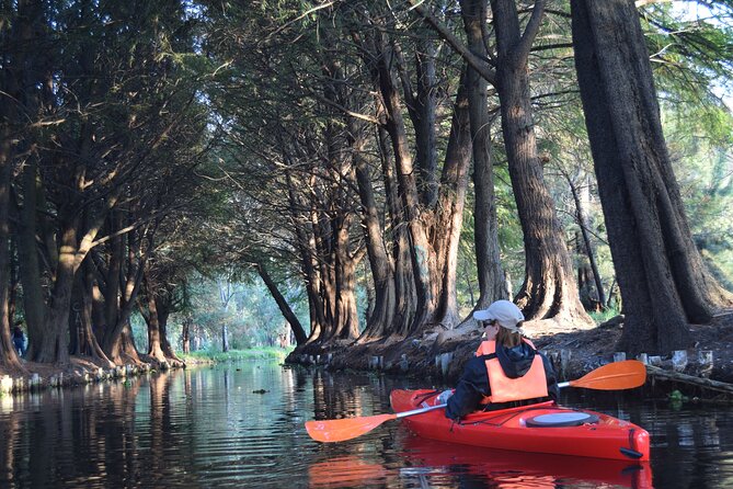 Kayak at sunrise in Xochimilco: agroecological experience - Why sunrise changes Xochimilco