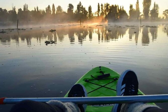 Kayak at sunrise in Xochimilco: agroecological experience - Birds, farm animals, and the chance to see an axolotl