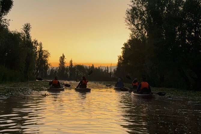 Kayak at sunrise in Xochimilco: agroecological experience - What the $107.60 price gets you
