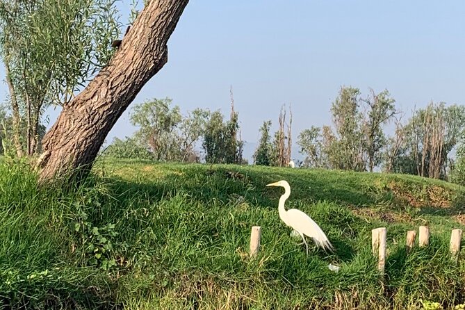 Kayak tour in Xochimilco - Guides, language, and the human side of the tour