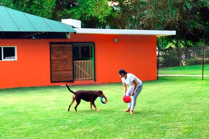 Las Estacas Natural Park Private Tour from Mexico City - Food, grills, and the spa