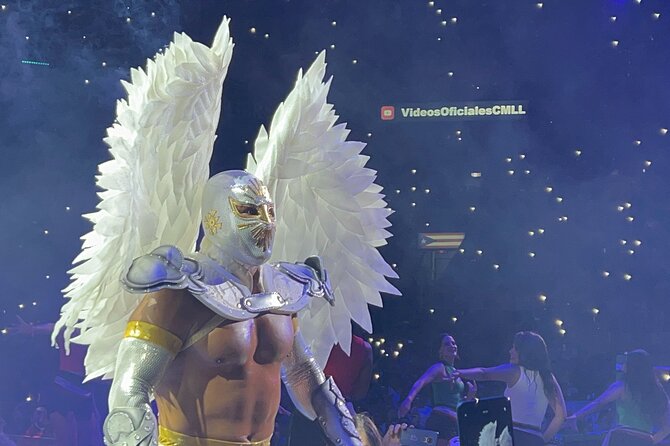 Live Wrestling from the Best Area of the Arena Mexico - The Privileged Seating: What You Are Really Paying For