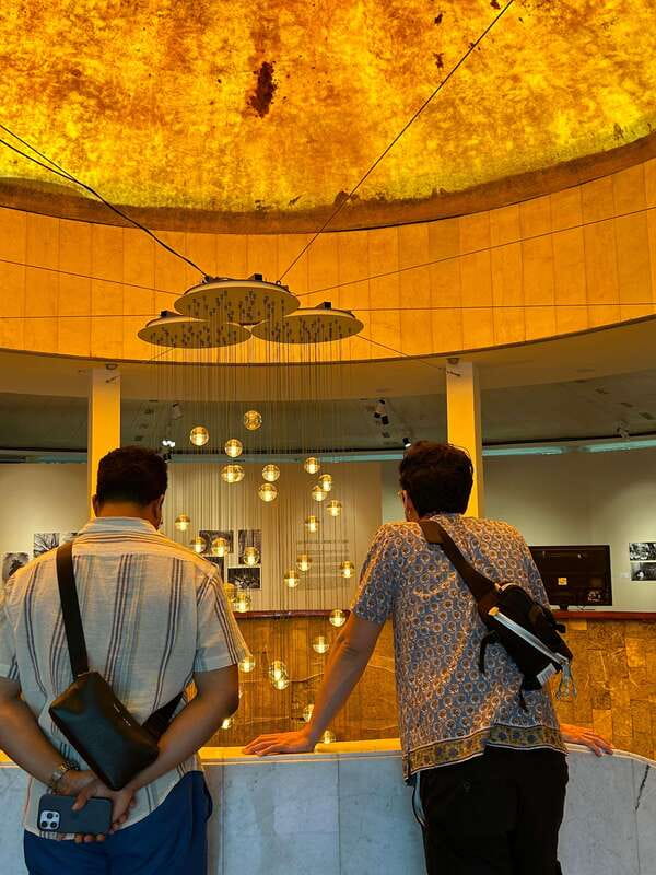 Mexico City: 1960s &1970s Mexican Architecture Walking Tour - The Modern Art Museum and the role of public culture