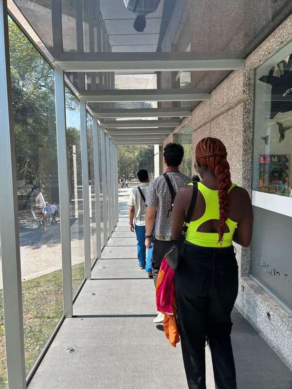 Mexico City: 1960s &1970s Mexican Architecture Walking Tour - Ending at Hotel Camino Real and the 1968 Olympics