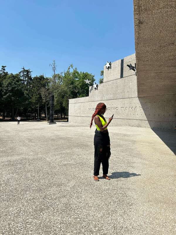 Mexico City: 1960s &1970s Mexican Architecture Walking Tour - How much walking and effort should you expect?