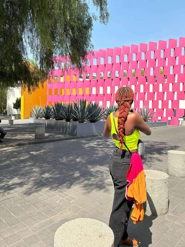 Mexico City: 1960s &1970s Mexican Architecture Walking Tour - Starting at the National Museum of Anthropology
