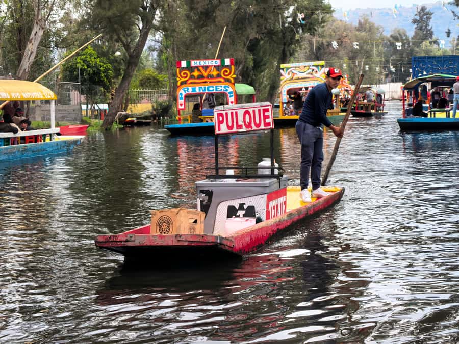 Mexico City: All-Inclusive College Student-Guided Boat Tour - The chinampa island stop and taco tasting