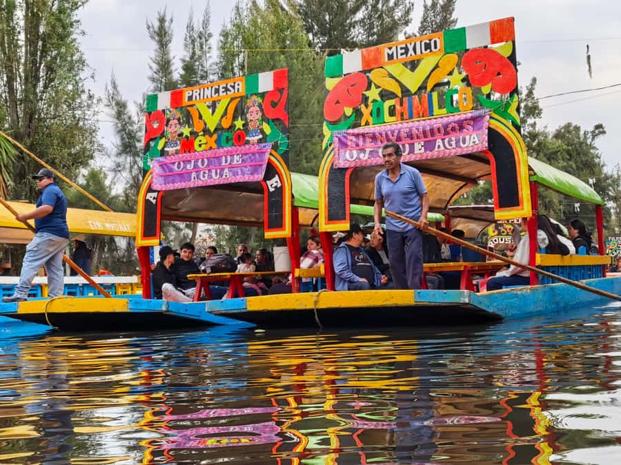 Mexico City: All-Inclusive College Student-Guided Boat Tour - Who should choose this Xochimilco tour