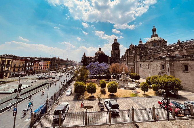 Mexico City Center Private Walking Tour - Price, value, and who should book
