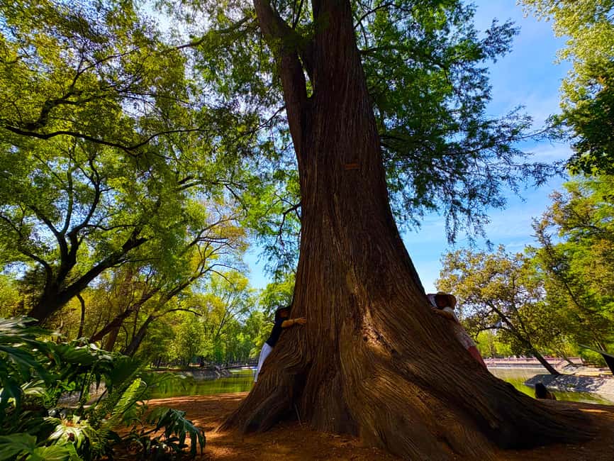 Mexico City: Chapultepec Castle and Forest Guided Tour - Is $84 a fair price?
