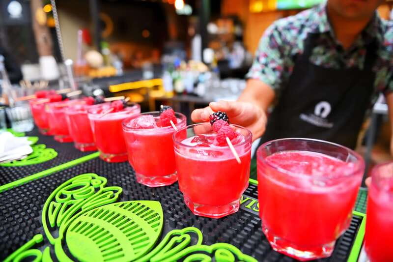 Mexico City: Coyoacán Area Food & Drink Tastings Guided Tour - Dietary needs, comfort, and accessibility