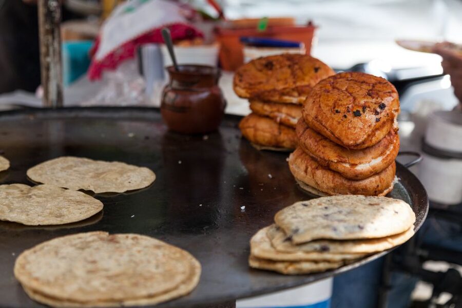 Mexico City: Coyoacán Area Food & Drink Tastings Guided Tour - Is $110 a fair price?