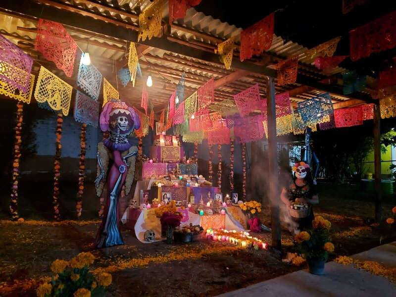 Mexico City: Day of the Dead Tour - Who Will Enjoy This Night Most?