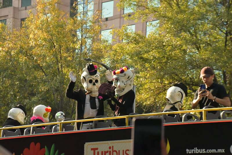 Mexico City: Day of the Dead Tour - Practical Ways to Make the Night Better