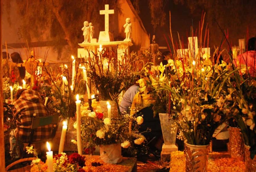 Mexico City: Day of the Dead Tour - Mexico City Landmarks Under Day of the Dead Lights
