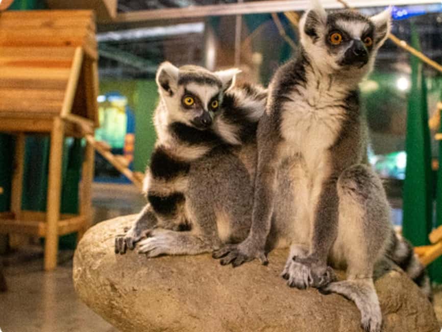 Mexico City: Entry Ticket to Acuario Michin - Indigenous perspectives on nature and conservation