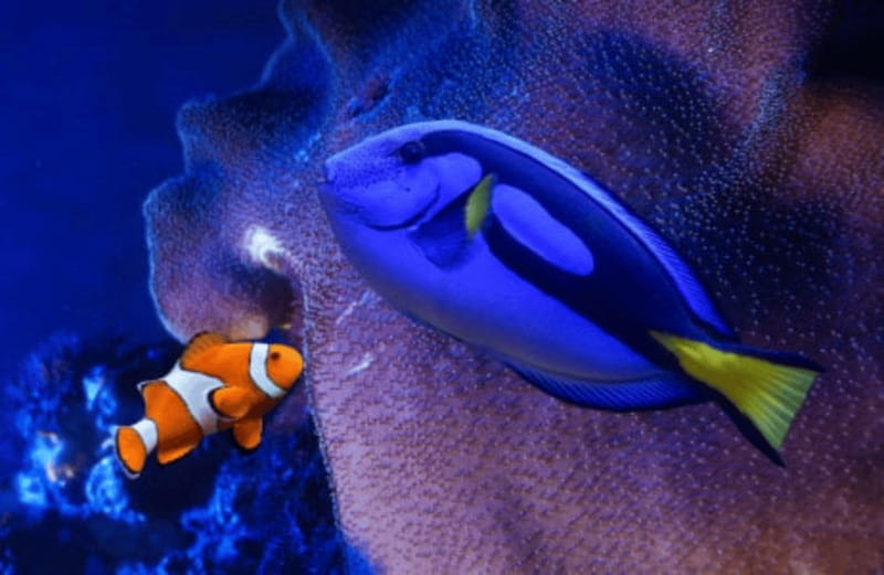 Mexico City: Fast Pass Ticket to Acuarium Inbursa - What the $19 Fast Pass actually gives you