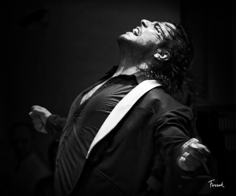 Mexico City: Flamenco Tablao Live Show & dinner - The Food and Drink Side of the Night