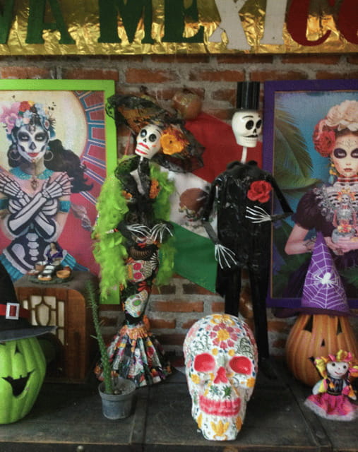 Mexico City: Frida Kahlo, Coyoacán, and Xochimilco Day Tour - A Full Day in Southern Mexico City